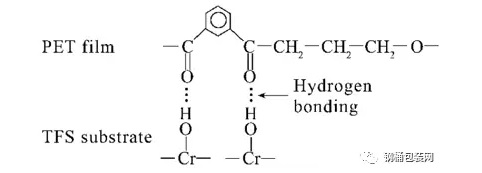 TFS與PET的結合模型-聯(lián)凈覆膜鐵