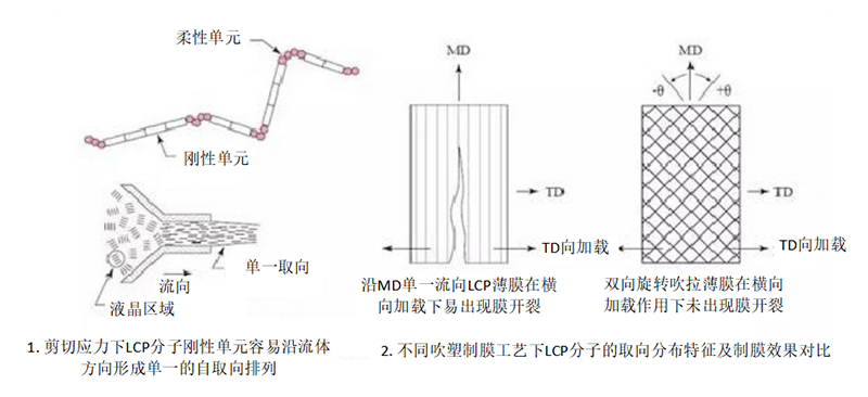 LCP分子流動(dòng)特性及排列方向對薄膜成型工藝影響示意圖