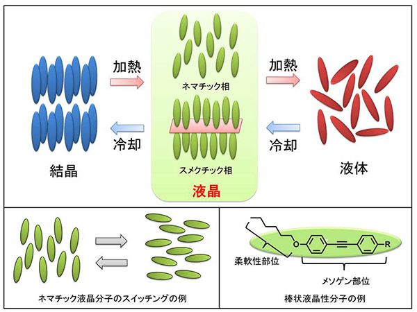 液晶聚合物(LCP)分子結構示意